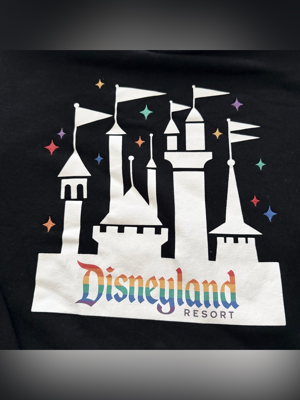 Disneyland Resort Castle Disney Pride Collection hoodie - Picture 5 of 5